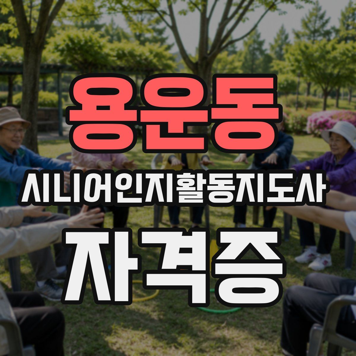 용운동 시니어인지활동지도사 자격증