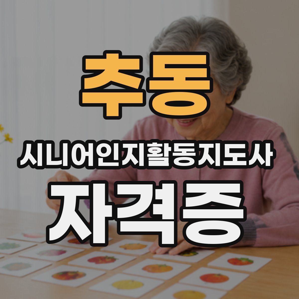 추동 시니어인지활동지도사 자격증