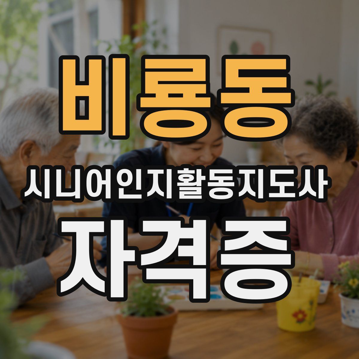 비룡동 시니어인지활동지도사 자격증