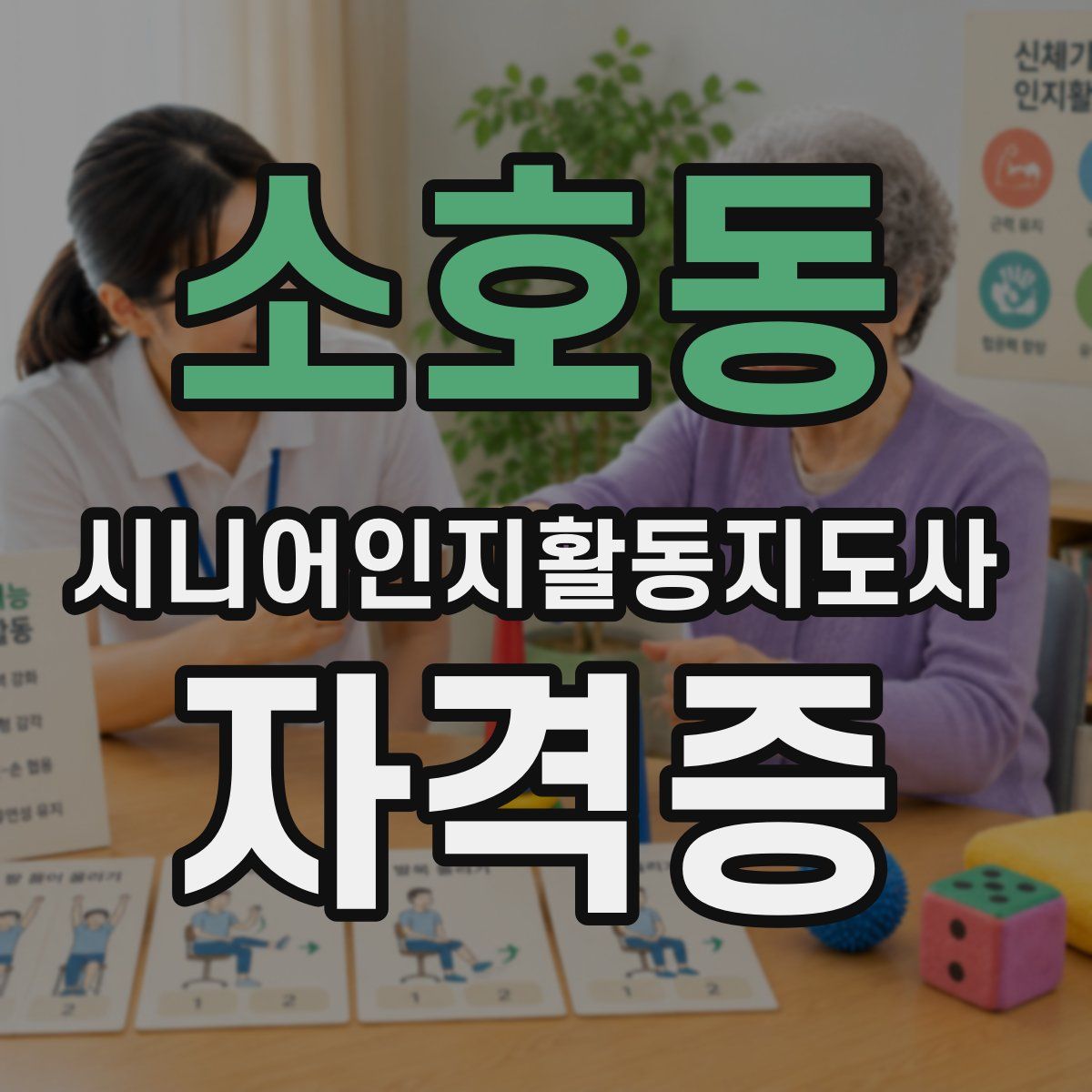 소호동 시니어인지활동지도사 자격증
