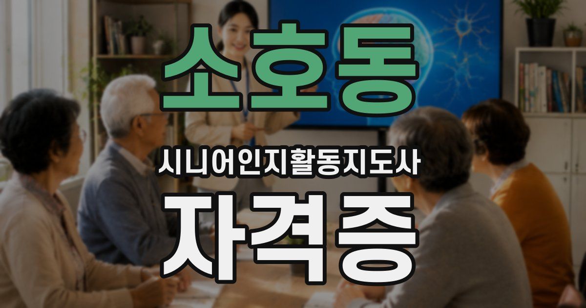 소호동 시니어인지활동지도사 자격증