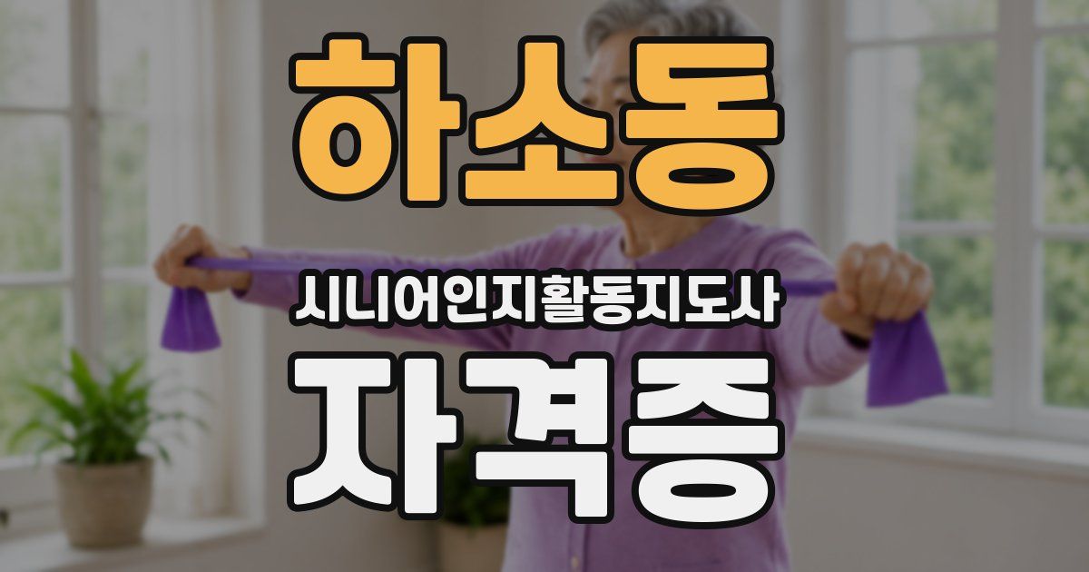 하소동 시니어인지활동지도사 자격증