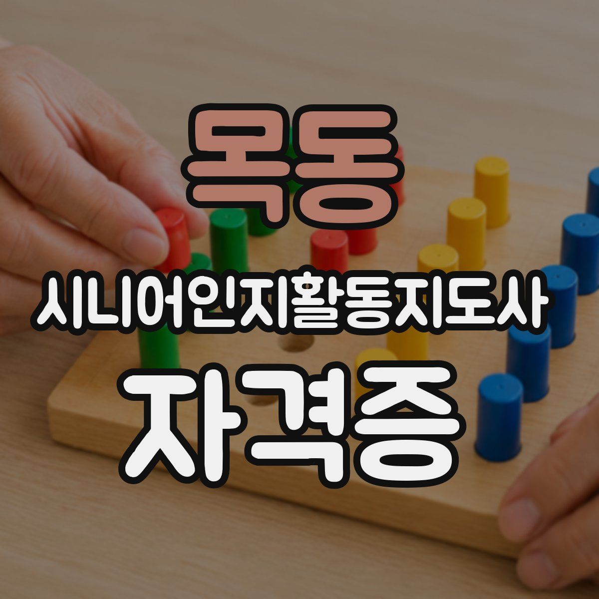 목동 시니어인지활동지도사 자격증