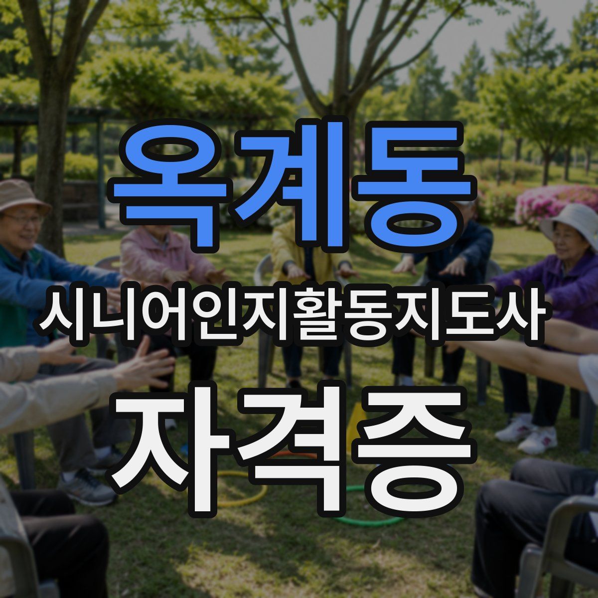옥계동 시니어인지활동지도사 자격증