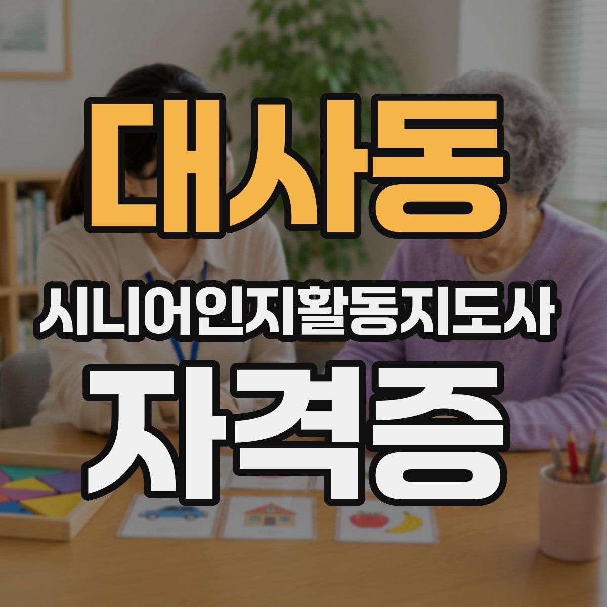 대사동 시니어인지활동지도사 자격증