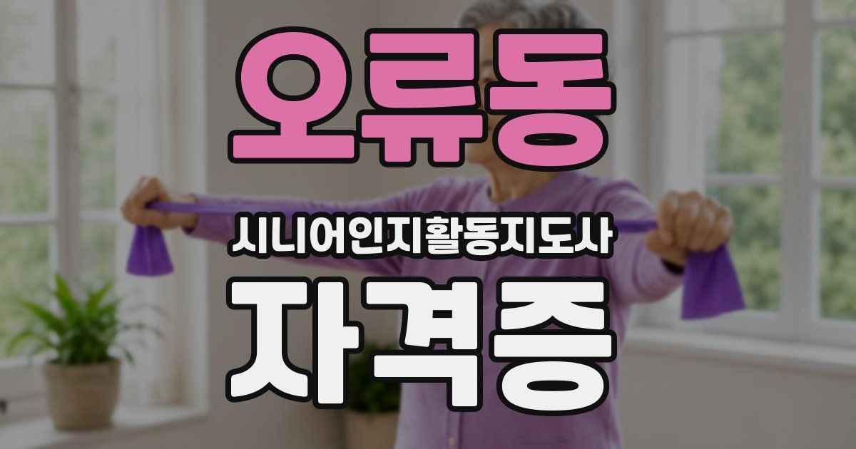오류동 시니어인지활동지도사 자격증