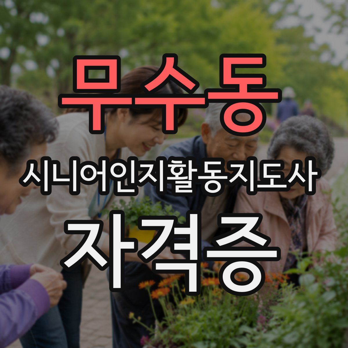 무수동 시니어인지활동지도사 자격증