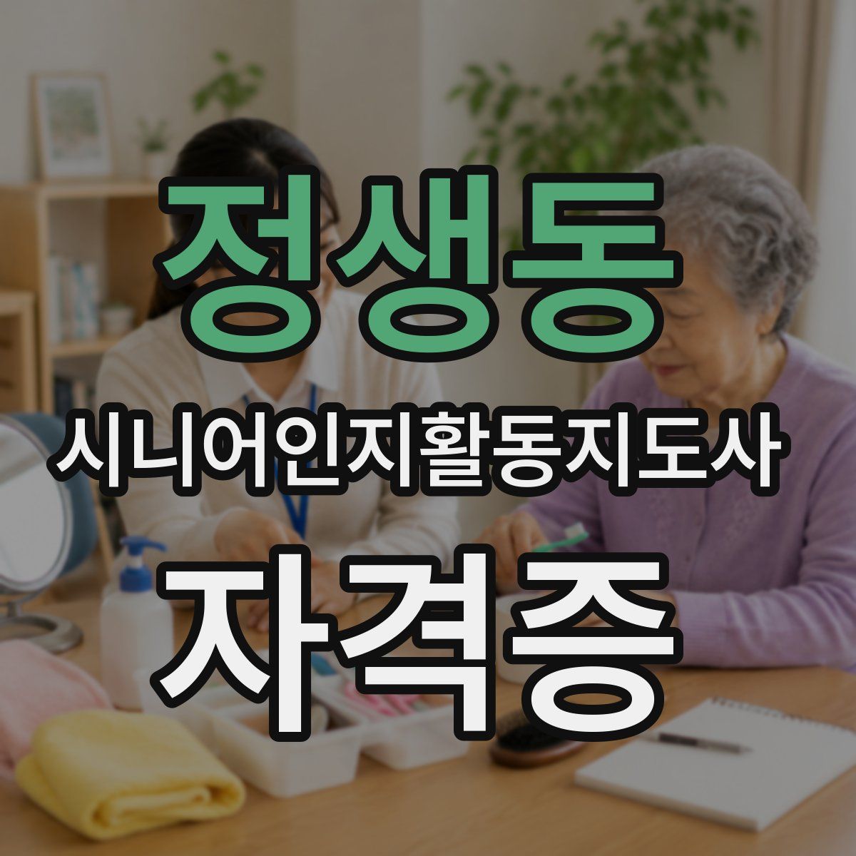정생동 시니어인지활동지도사 자격증