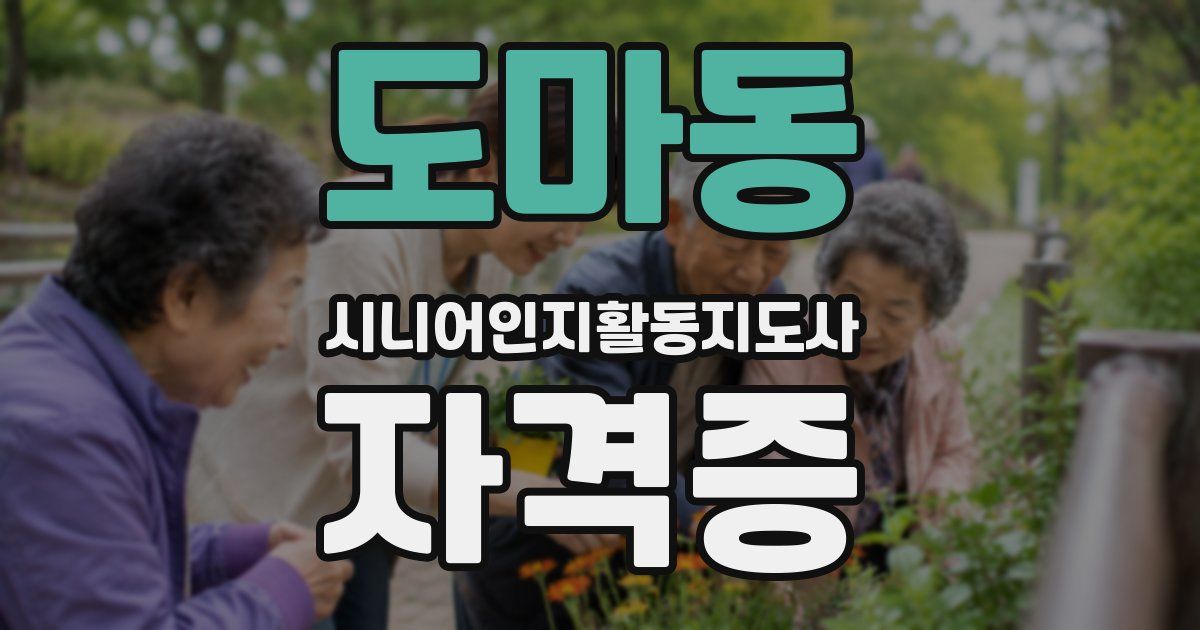 도마동 시니어인지활동지도사 자격증