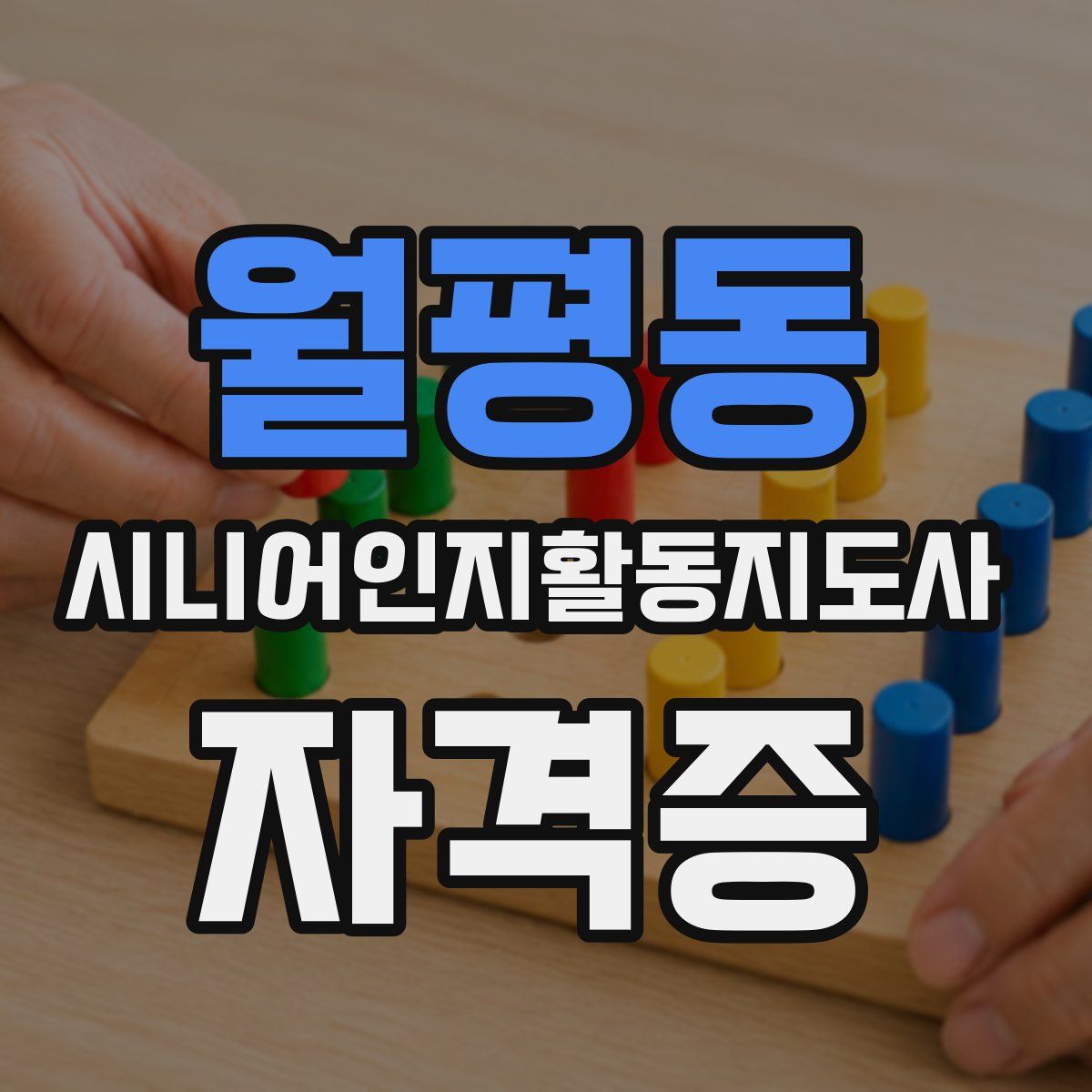 월평동 시니어인지활동지도사 자격증