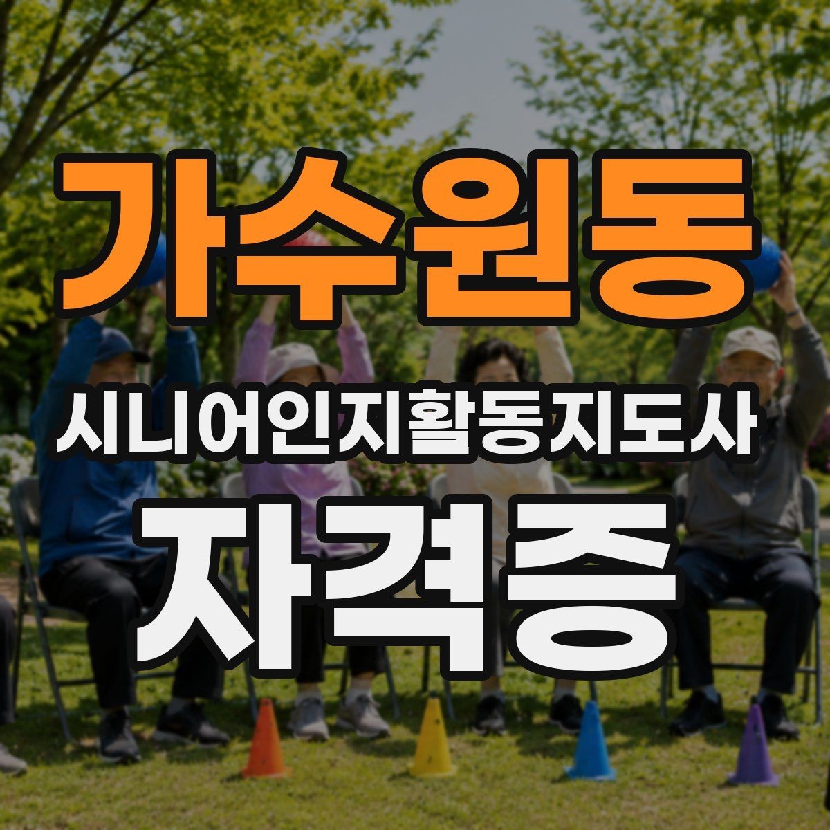 가수원동 시니어인지활동지도사 자격증 활용 사례로 보는 전망