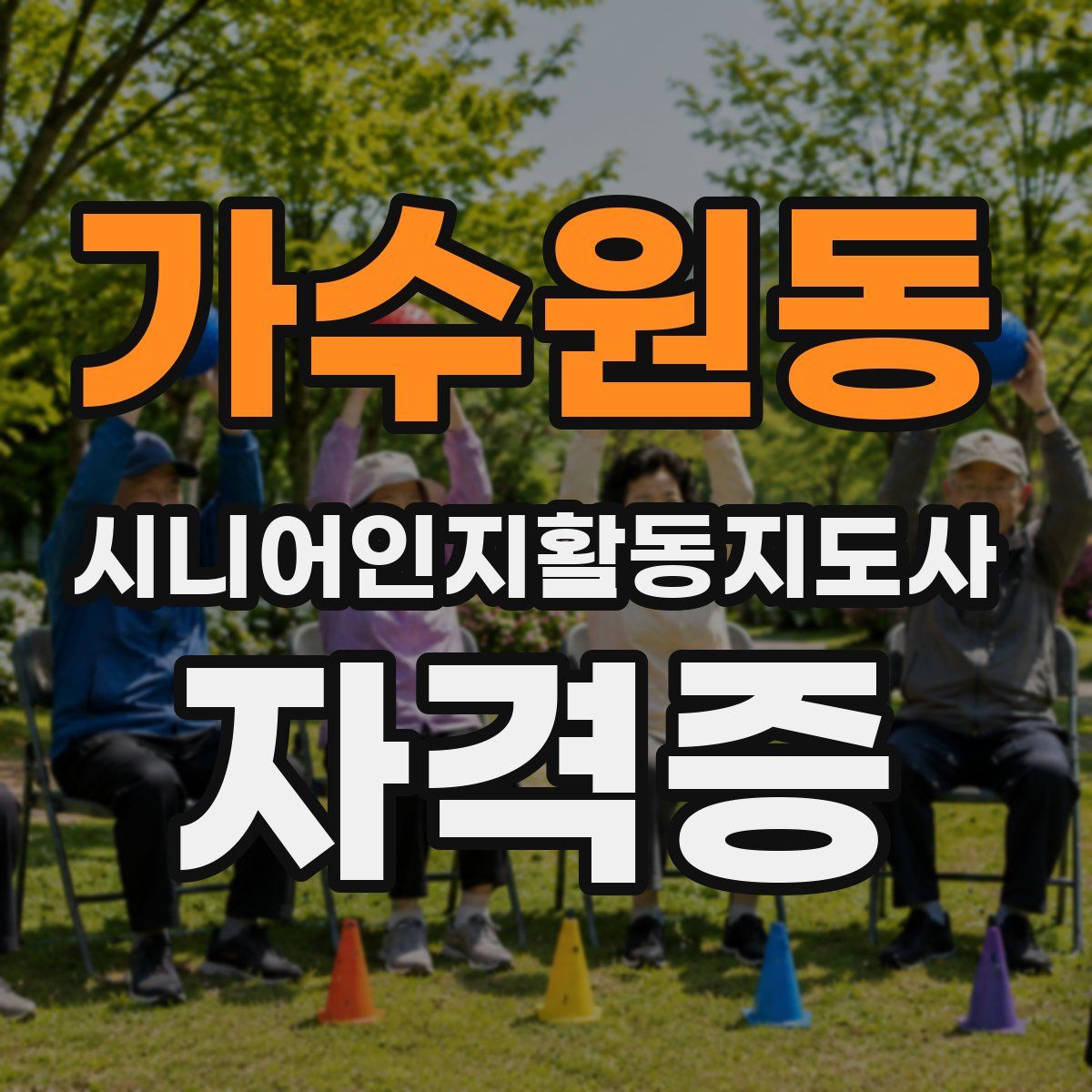 가수원동 시니어인지활동지도사 자격증