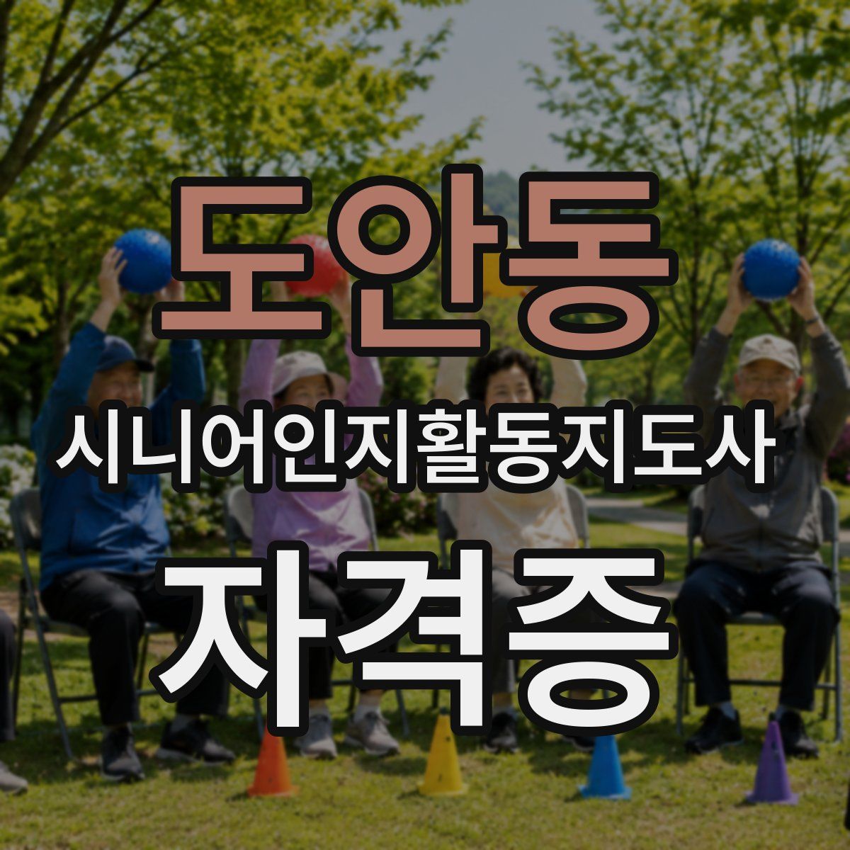 도안동 시니어인지활동지도사 자격증