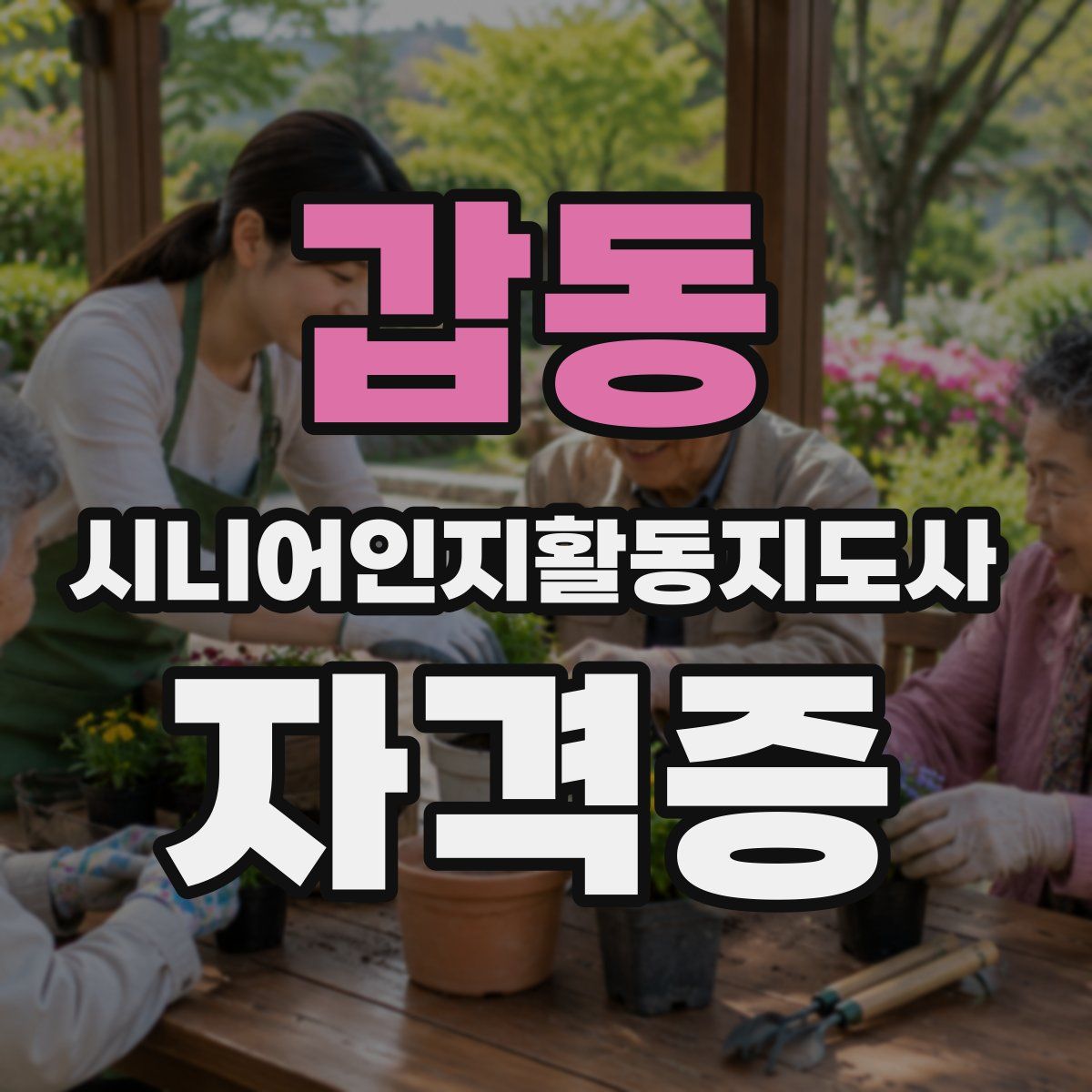 갑동 시니어인지활동지도사 자격증