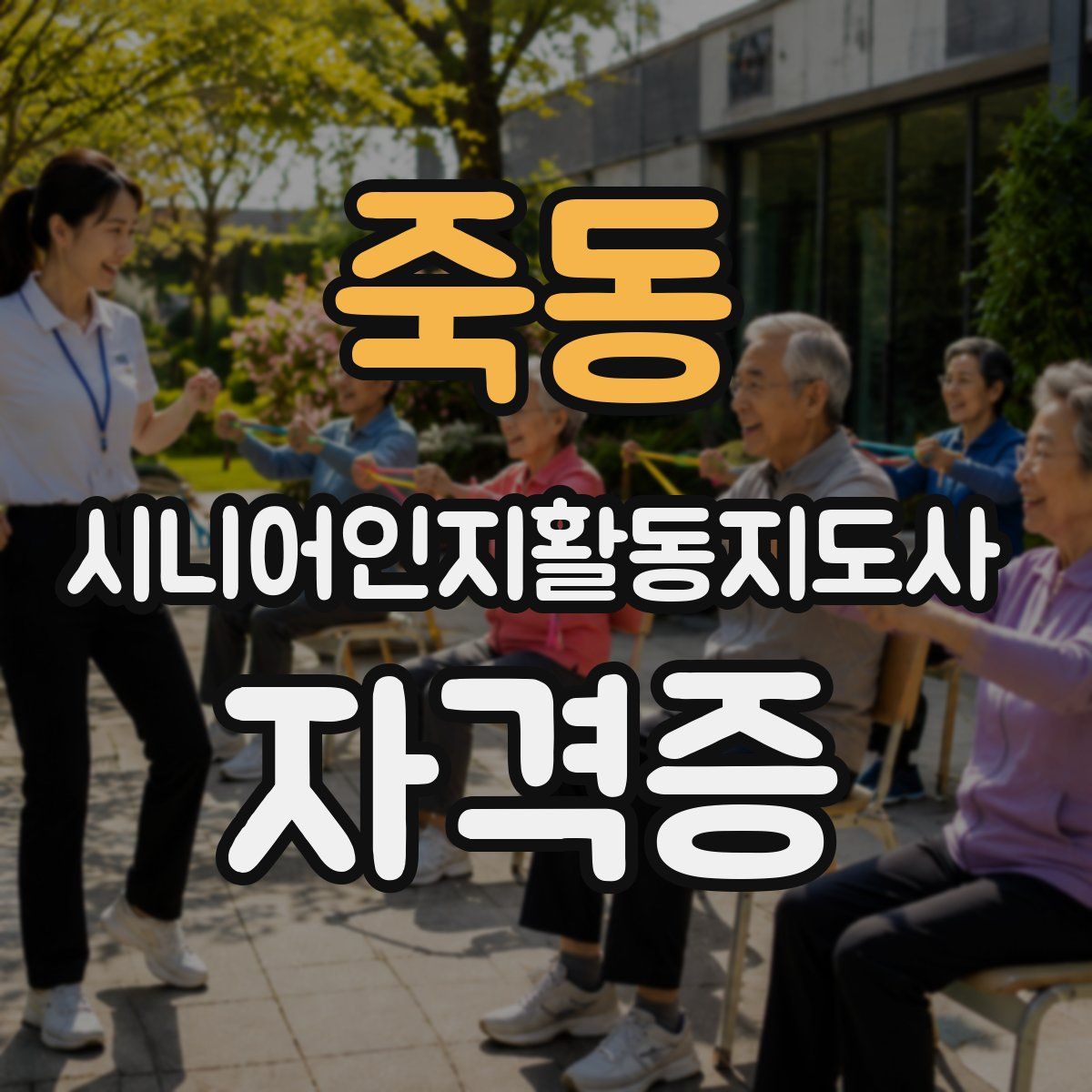 죽동 시니어인지활동지도사 자격증