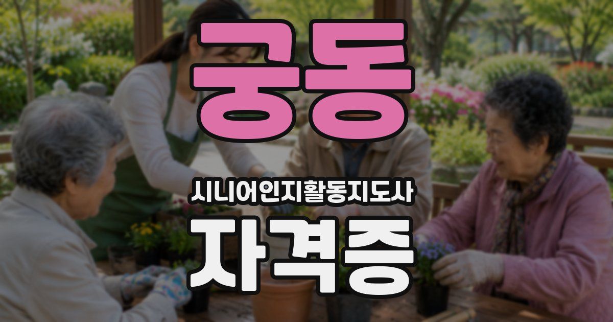 궁동 시니어인지활동지도사 자격증