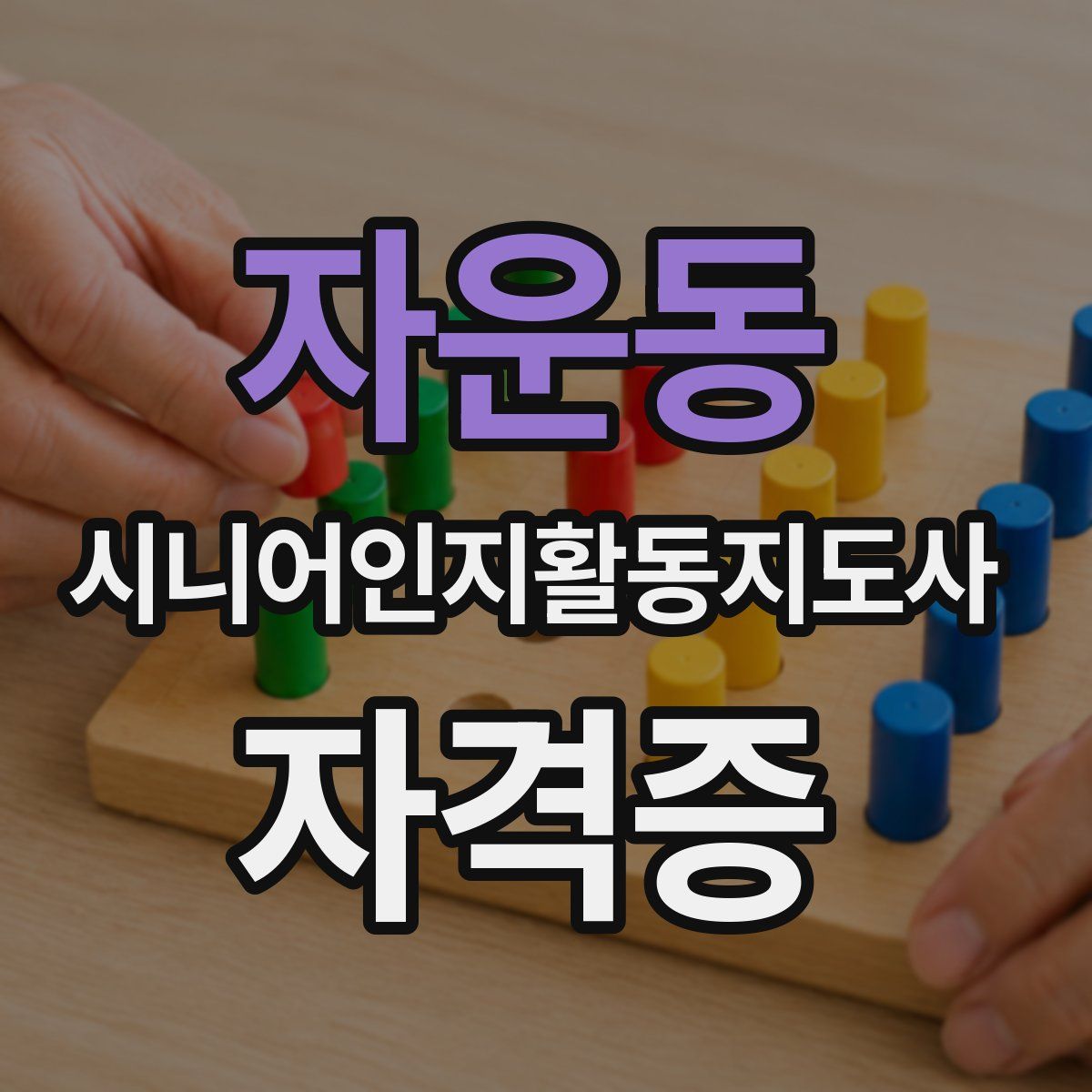 자운동 시니어인지활동지도사 자격증