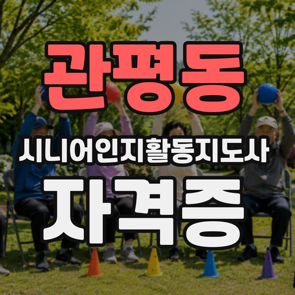 관평동 시니어인지활동지도사 자격증