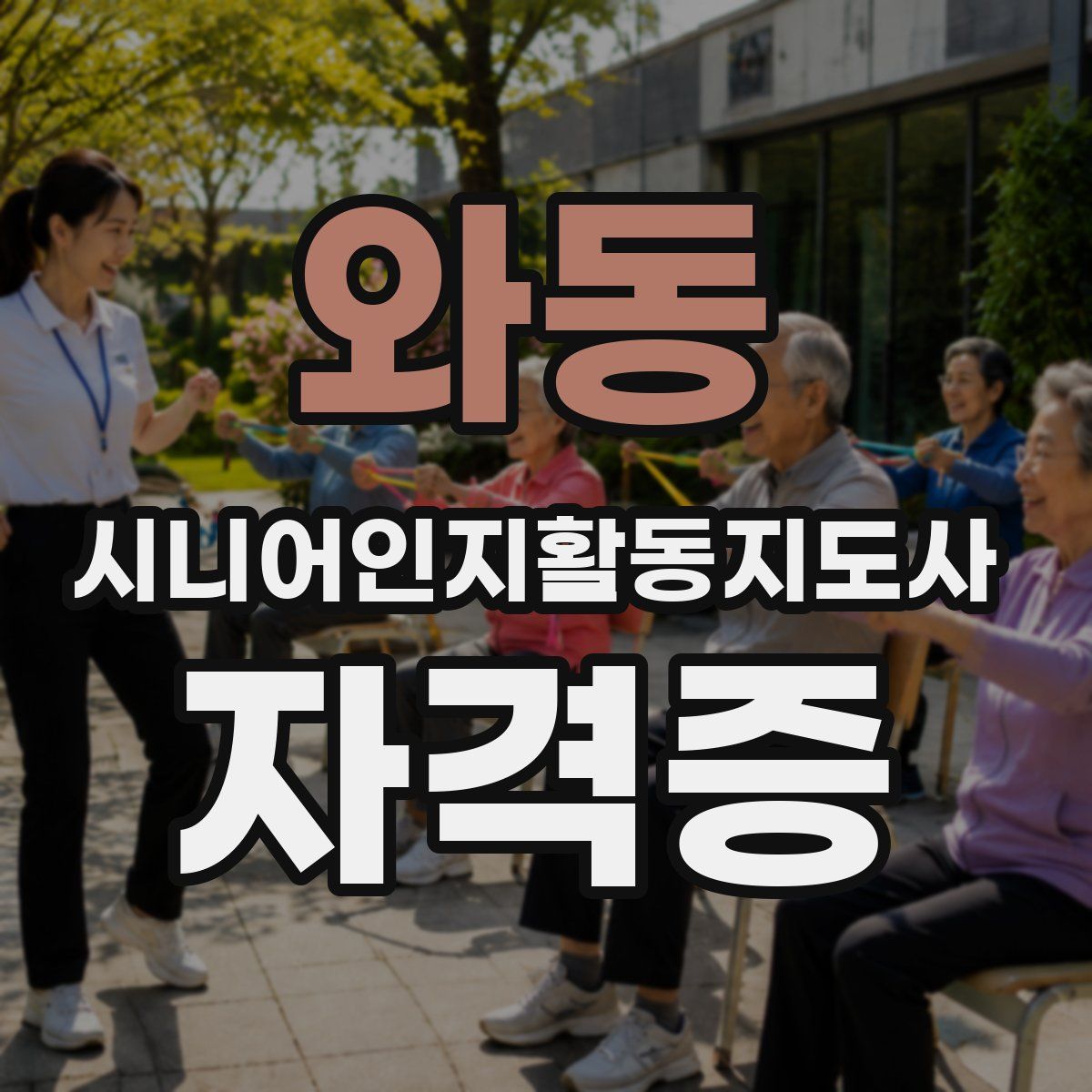 와동 시니어인지활동지도사 자격증