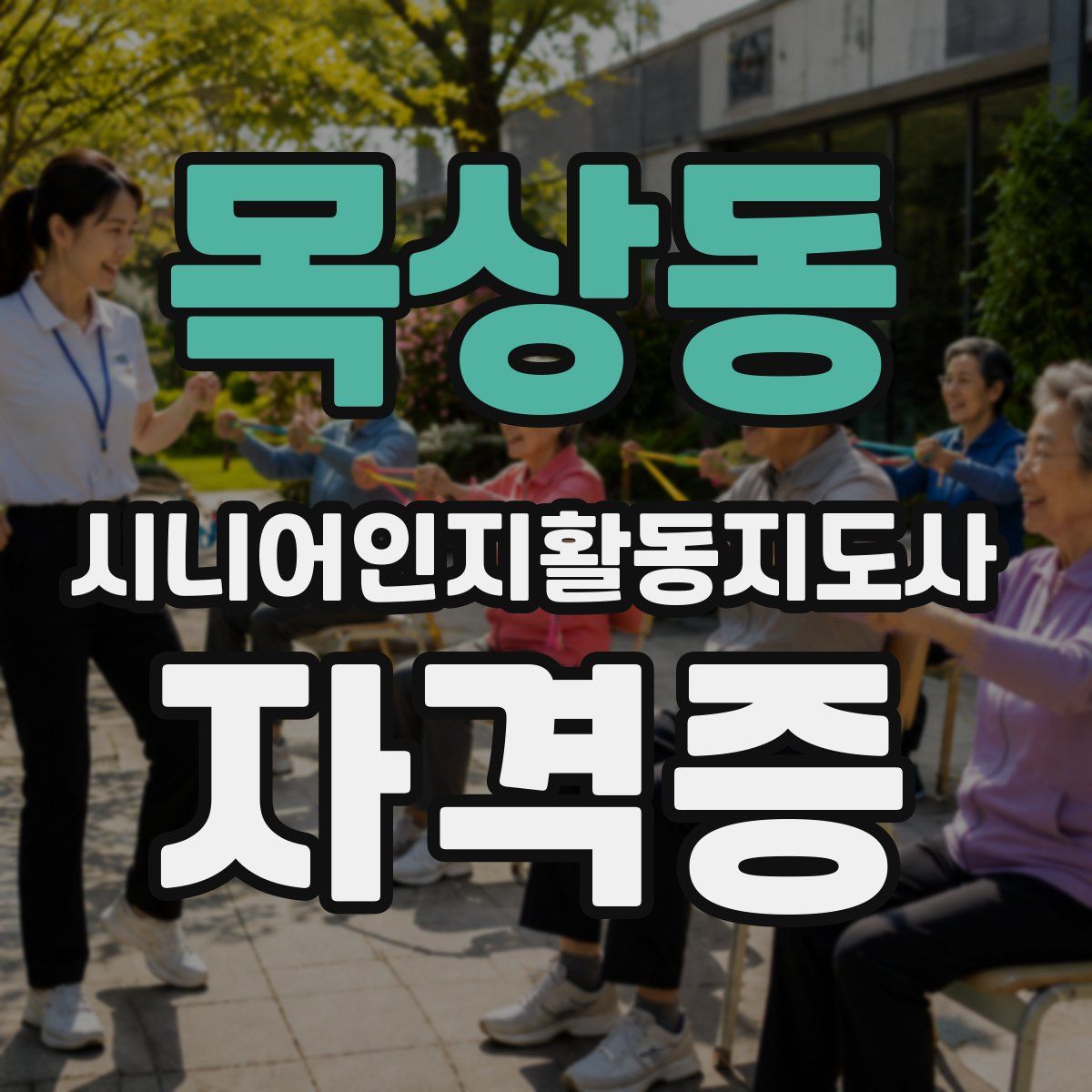 목상동 시니어인지활동지도사 자격증