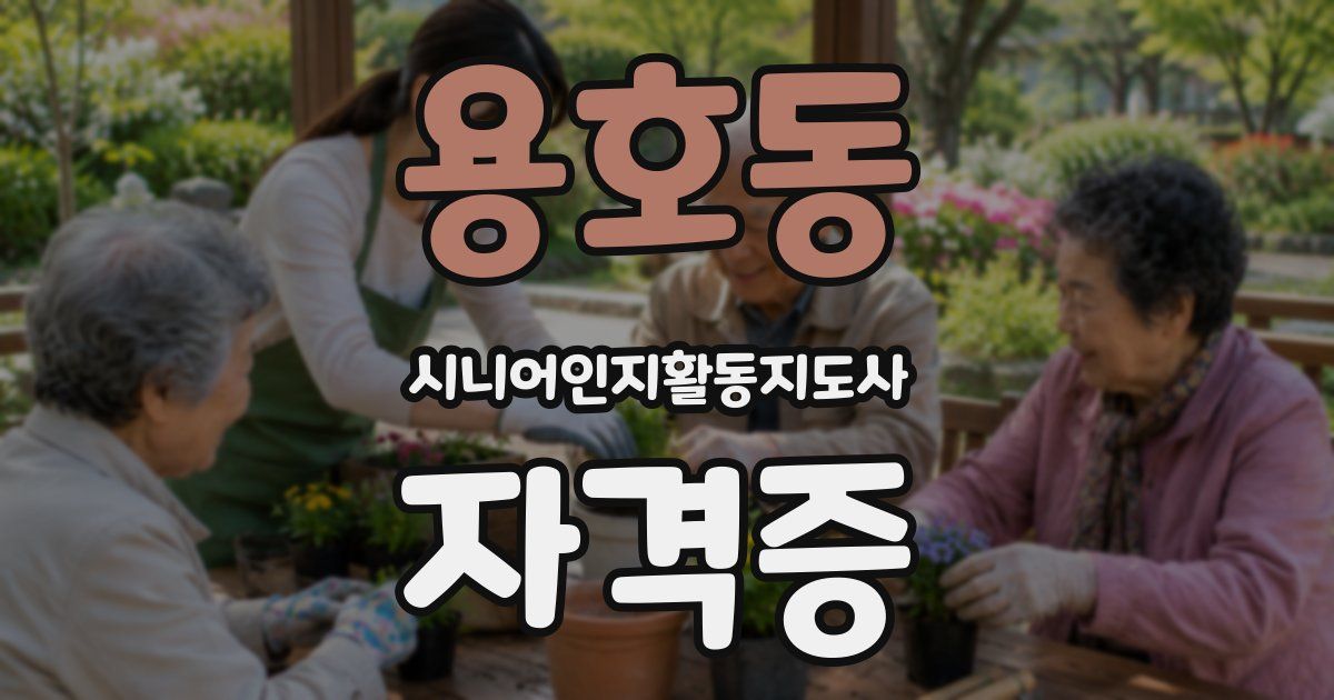 용호동 시니어인지활동지도사 자격증