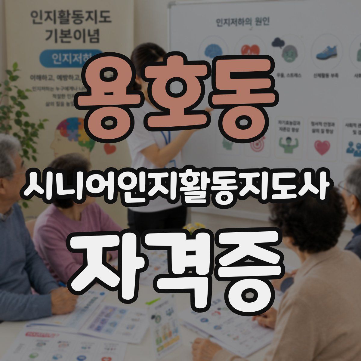 용호동 시니어인지활동지도사 자격증