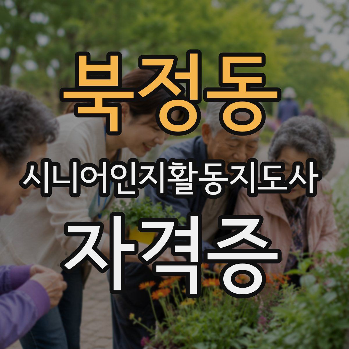 북정동 시니어인지활동지도사 자격증