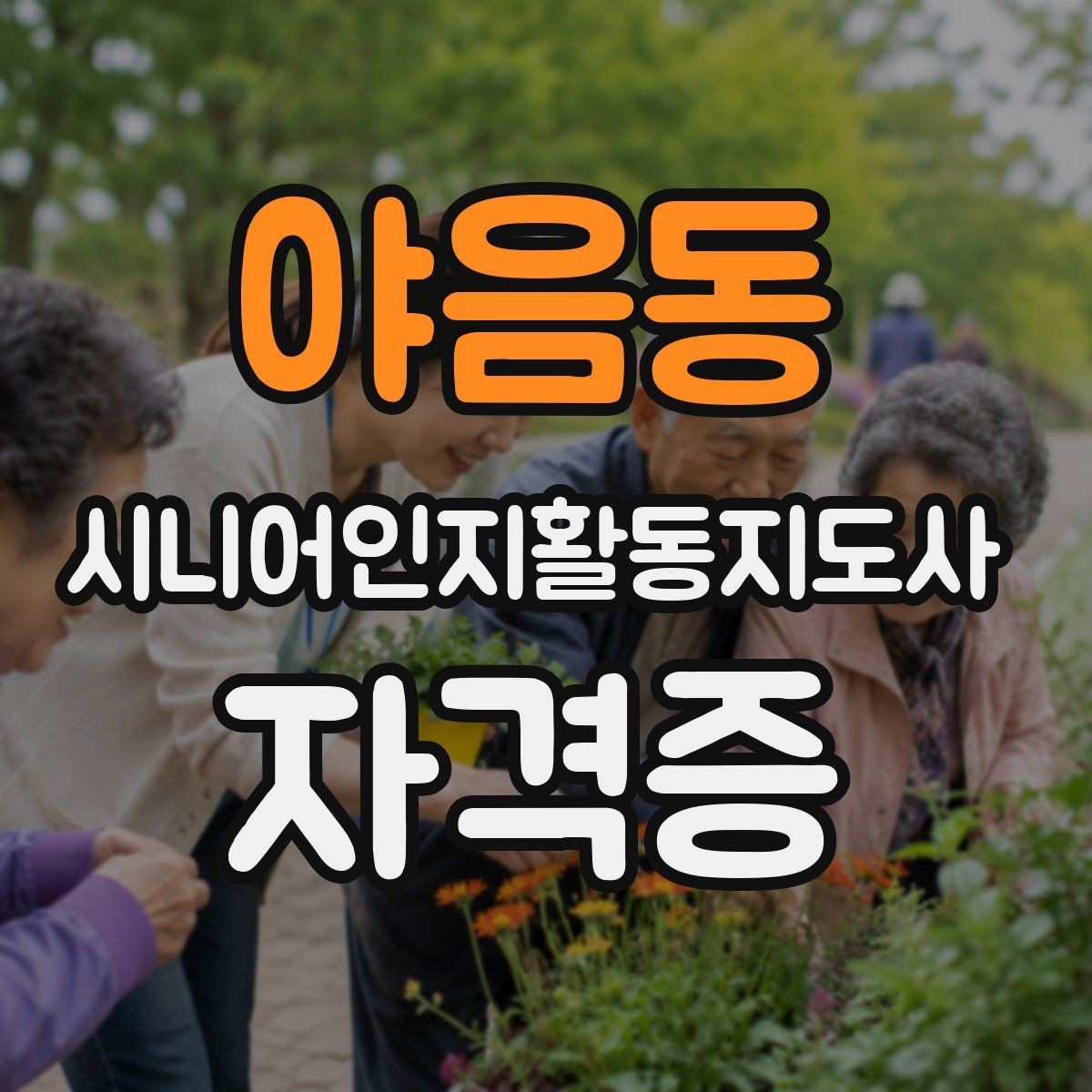 야음동 시니어인지활동지도사 자격증 관련 제도와 기본 용어