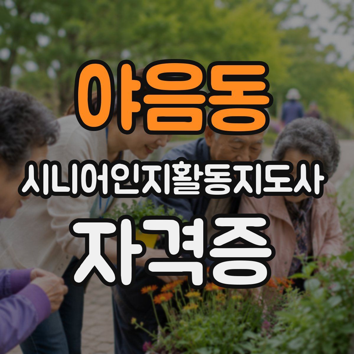 야음동 시니어인지활동지도사 자격증