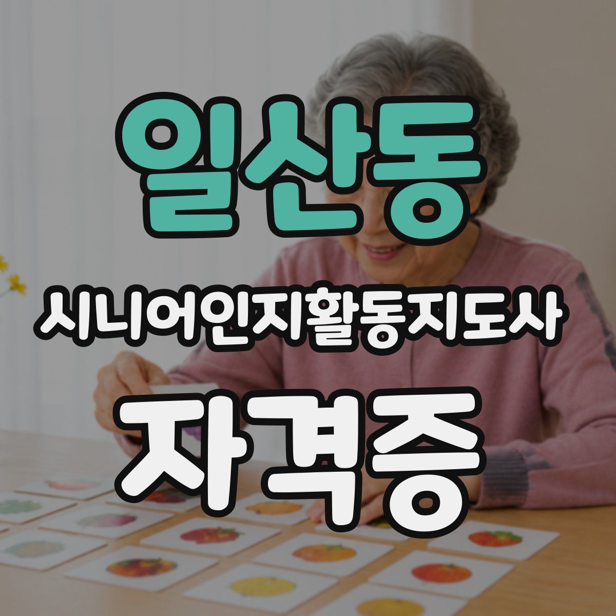일산동 시니어인지활동지도사 자격증