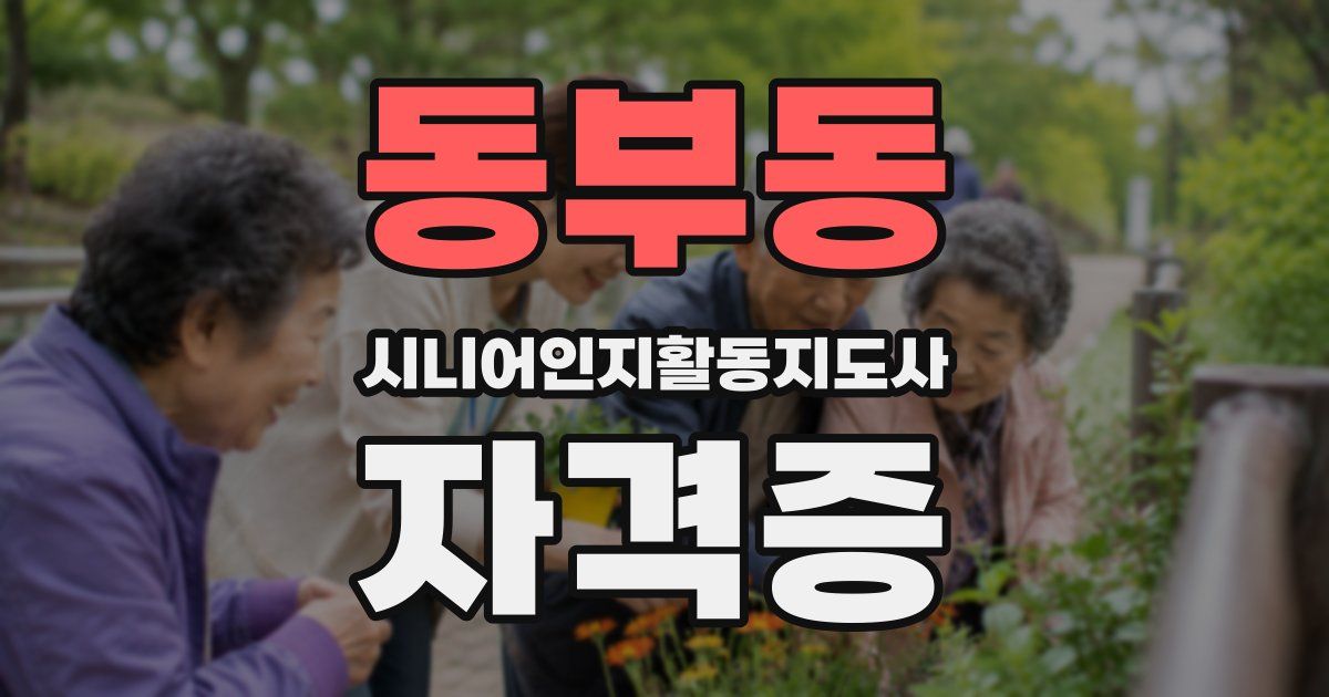 동부동 시니어인지활동지도사 자격증