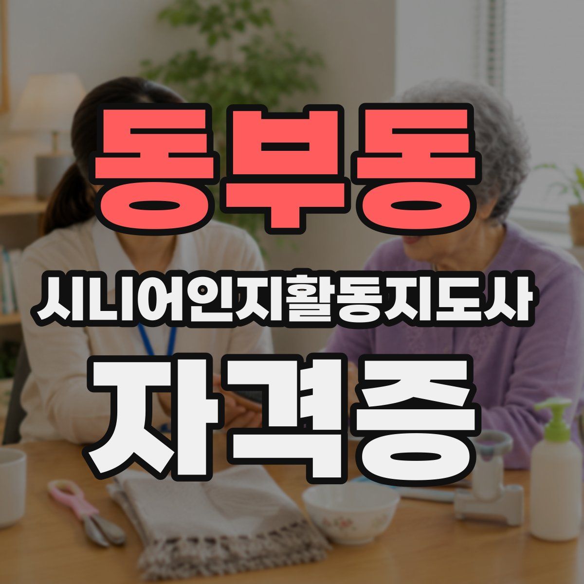 동부동 시니어인지활동지도사 자격증