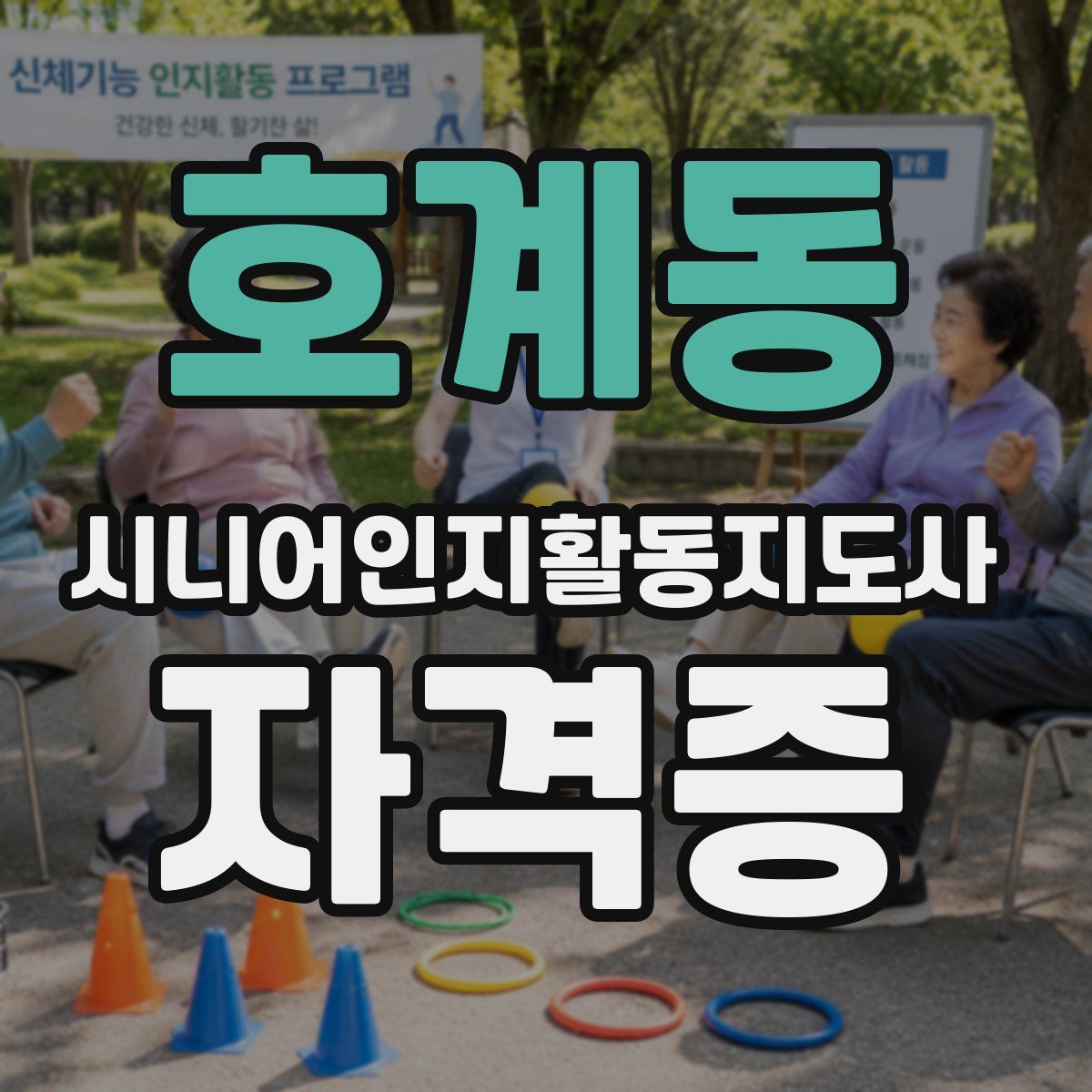 호계동 시니어인지활동지도사 자격증