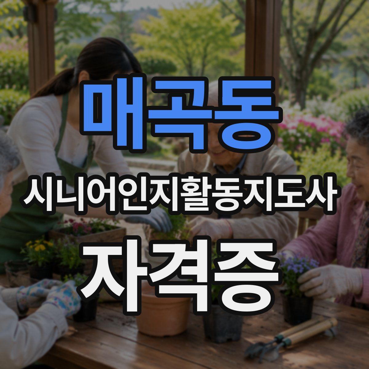 매곡동 시니어인지활동지도사 자격증