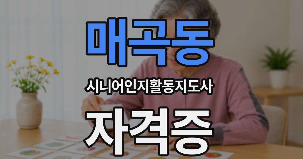 매곡동 시니어인지활동지도사 자격증