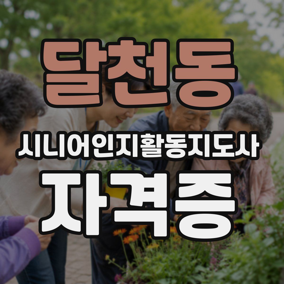 달천동 시니어인지활동지도사 자격증