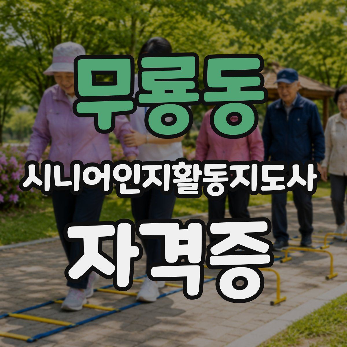 무룡동 시니어인지활동지도사 자격증