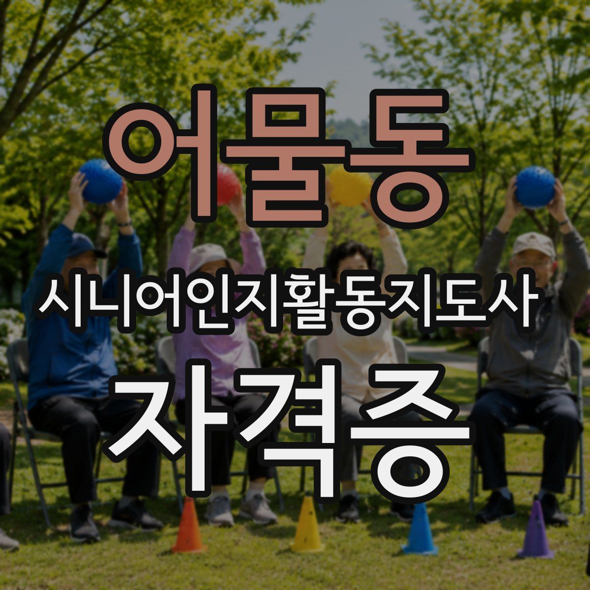 어물동 시니어인지활동지도사 자격증