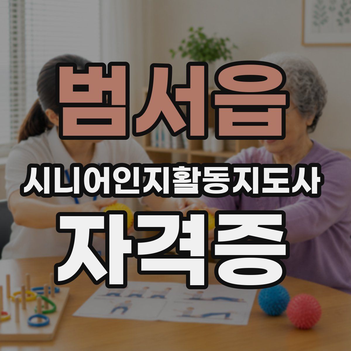 범서읍 시니어인지활동지도사 자격증