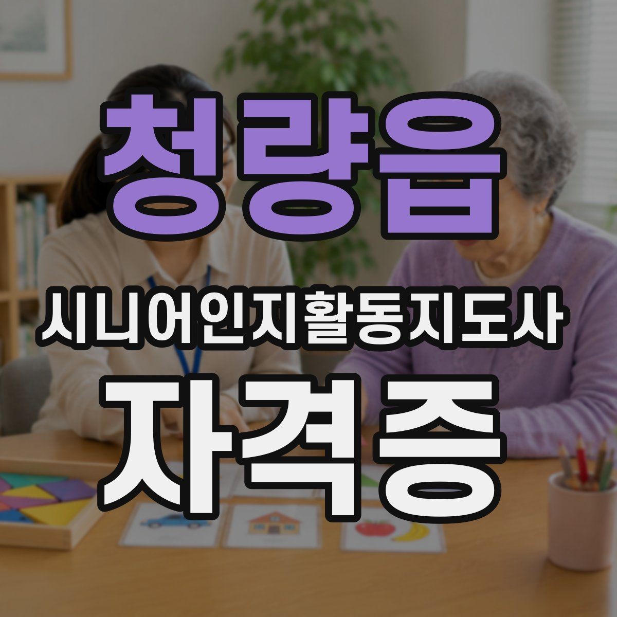 청량읍 시니어인지활동지도사 자격증 지원 전 비교해야 할 항목