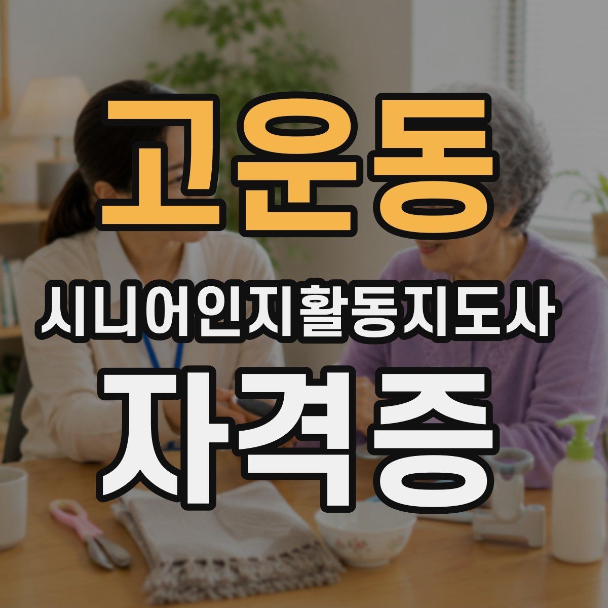 고운동 시니어인지활동지도사 자격증 자격 활용 범위 이해하기