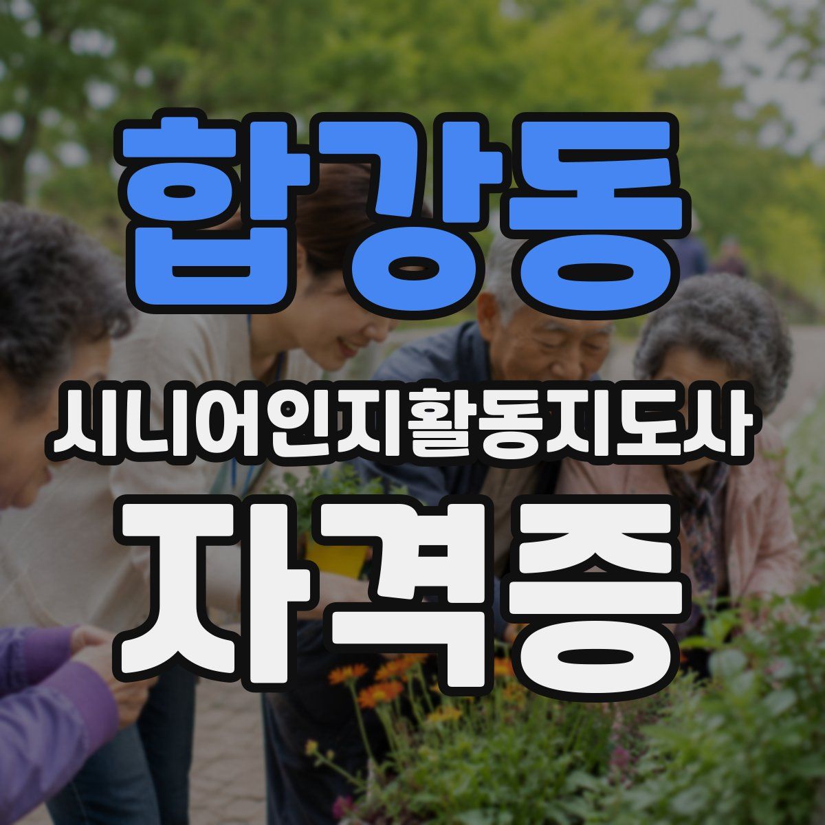 합강동 시니어인지활동지도사 자격증