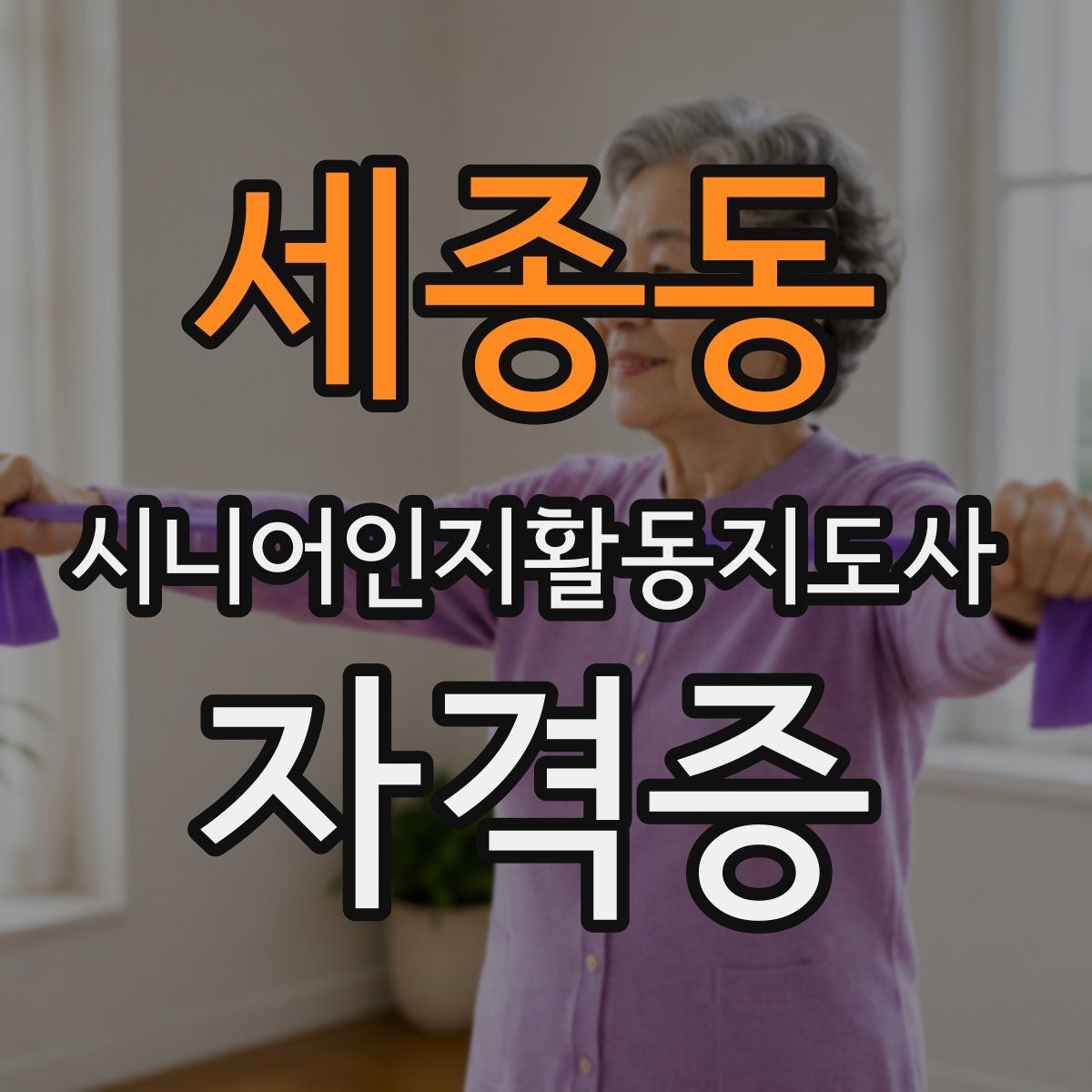 세종동 시니어인지활동지도사 자격증