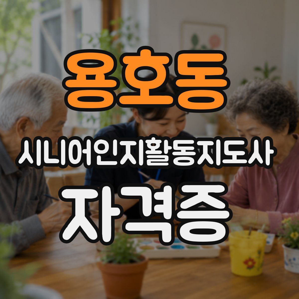 용호동 시니어인지활동지도사 자격증