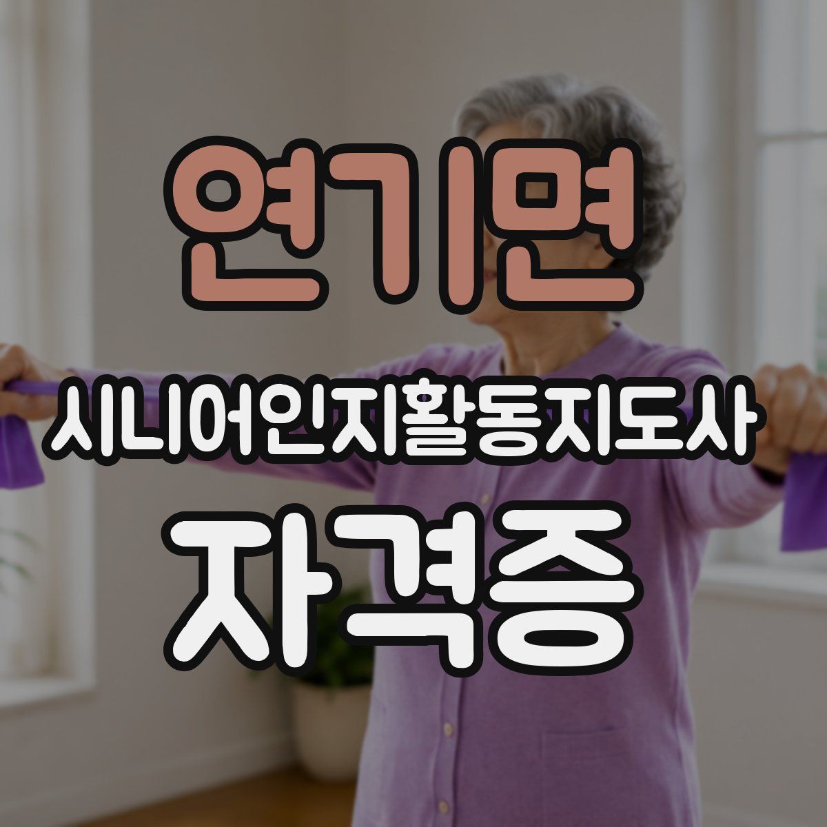 연기면 시니어인지활동지도사 자격증
