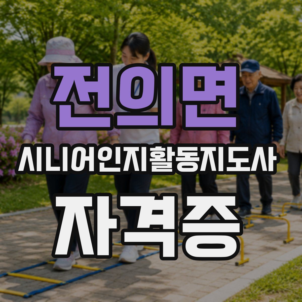 전의면 시니어인지활동지도사 자격증