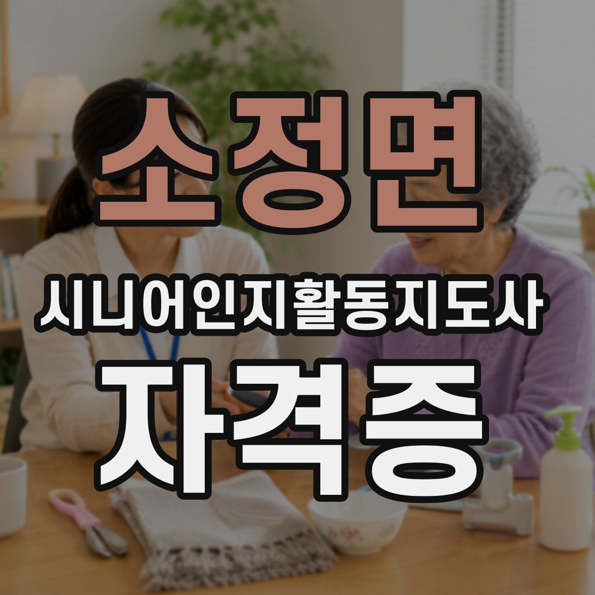 소정면 시니어인지활동지도사 자격증