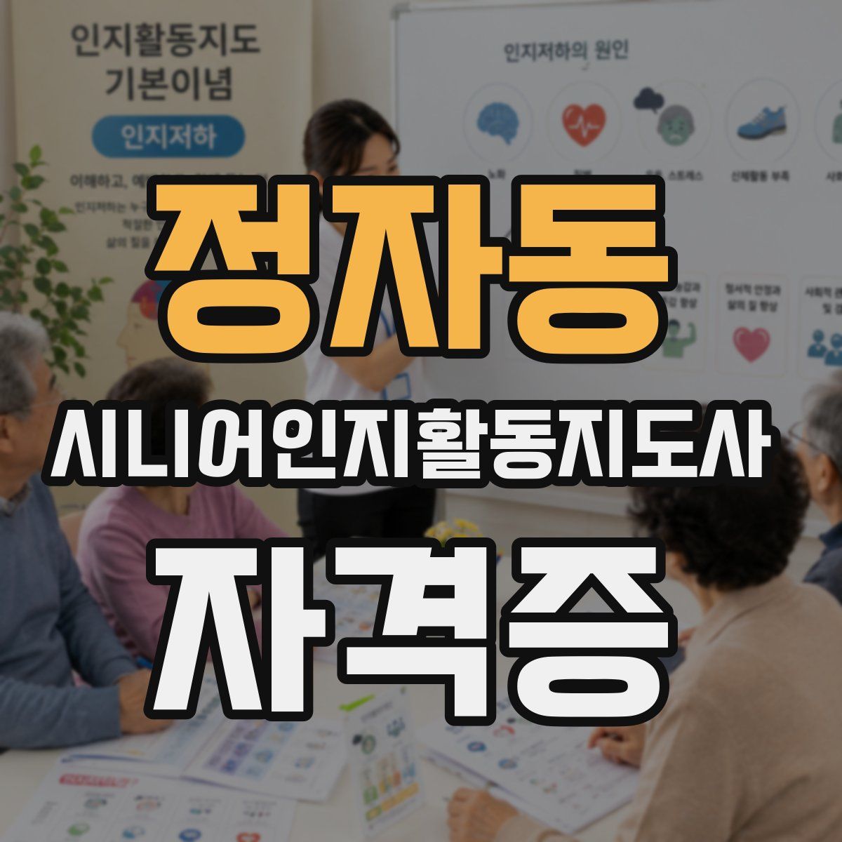 정자동 시니어인지활동지도사 자격증
