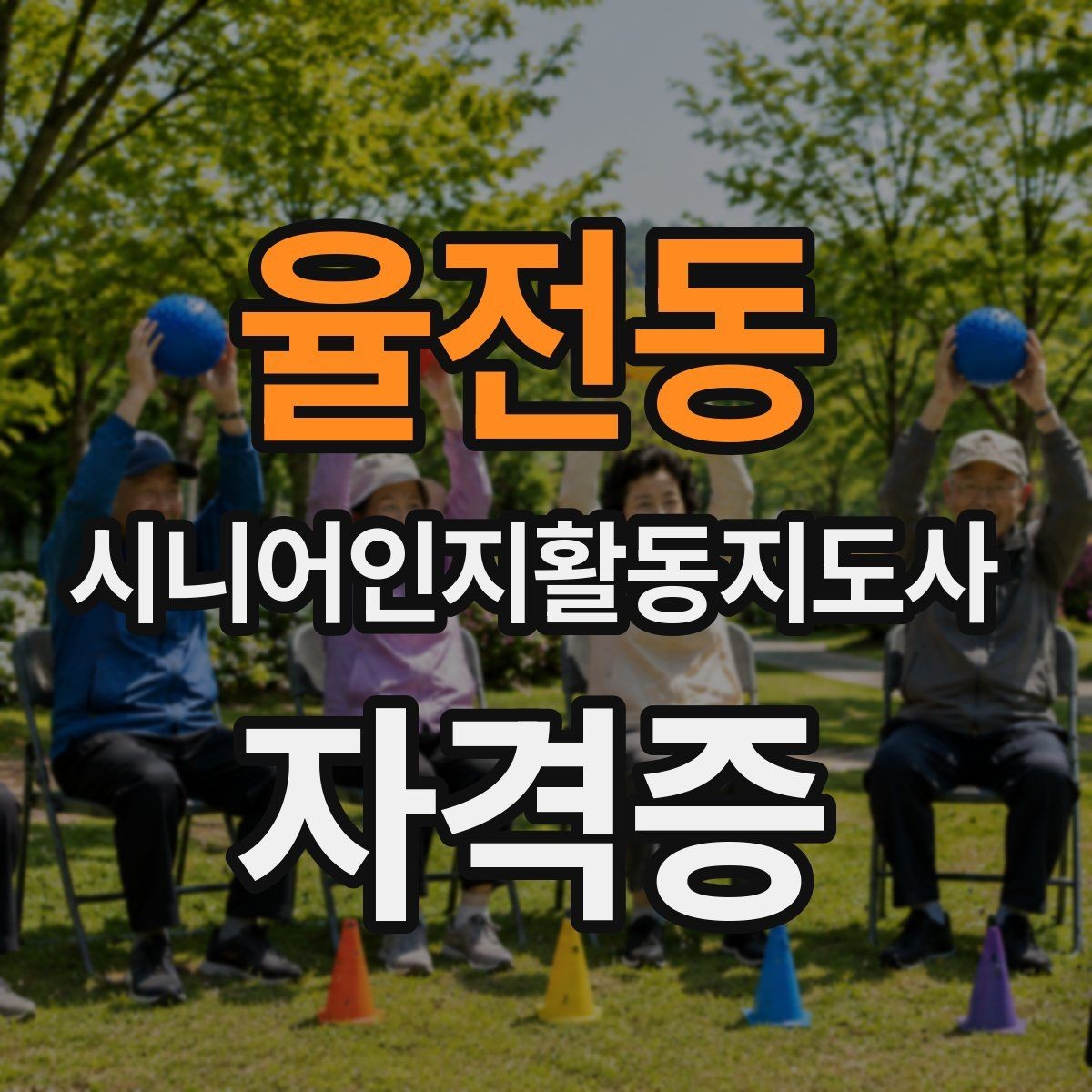 율전동 시니어인지활동지도사 자격증 실습 과정은 어떻게 진행될까