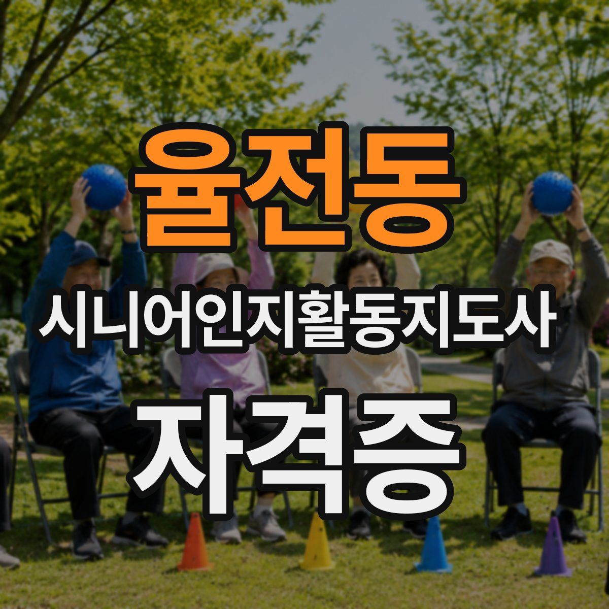 율전동 시니어인지활동지도사 자격증
